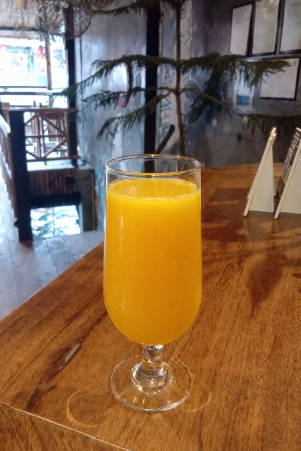Mango Juice